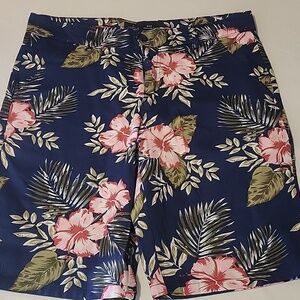 Public Record Men's Shorts